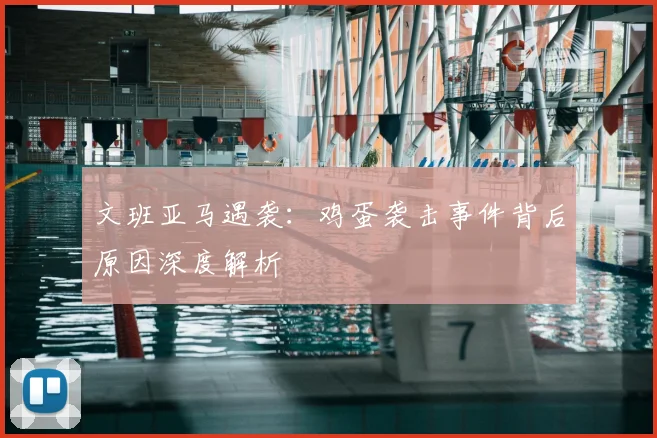 文班亚马遇袭：鸡蛋袭击事件背后原因深度解析